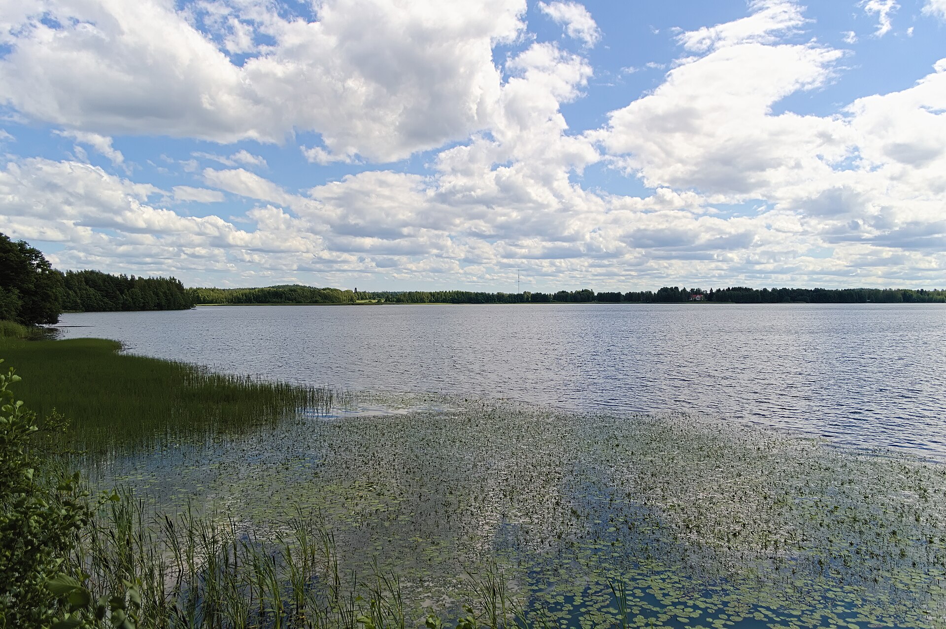 Kirkkojärven maisemaa Kangasalla — tuholaiset Kangasalla