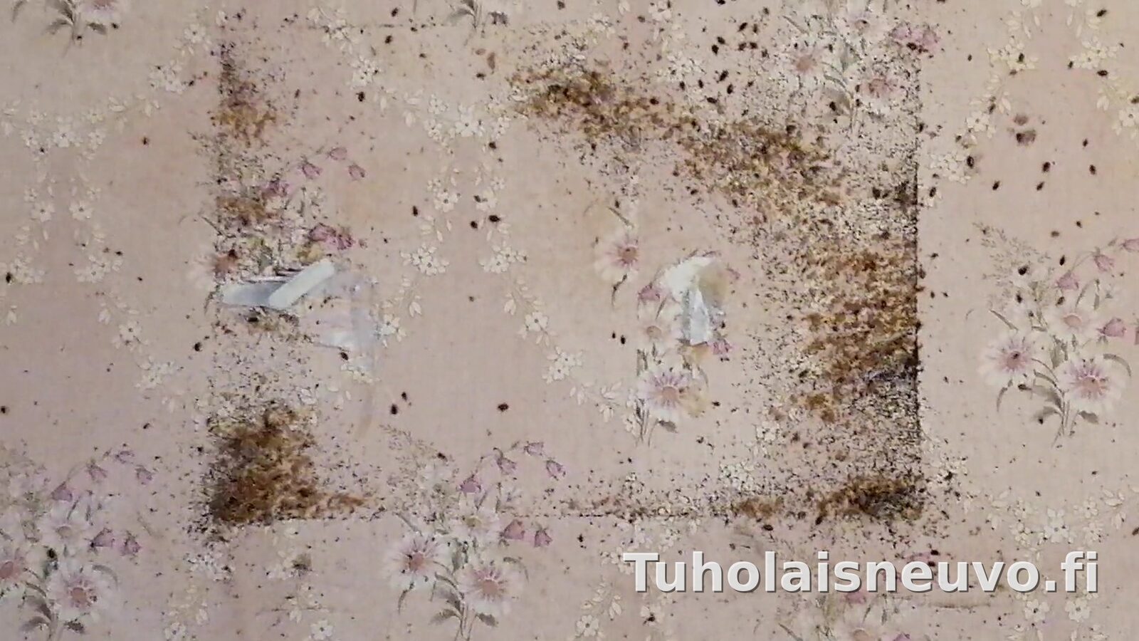 Luteen jälkiä seinällä huonekalun takana