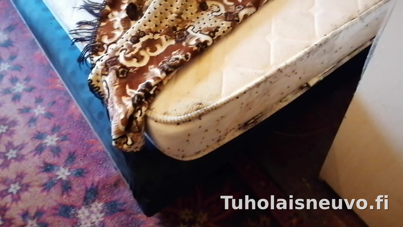 Luteiden saastuttama patja, tummia ulostepisteitä reunassa